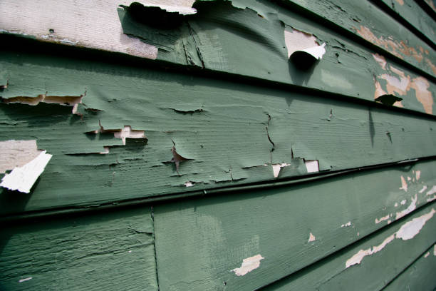 Best Garage Cleanout  in Reidland, KY
