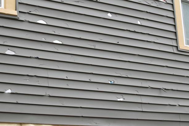 Trusted Reidland, KY Junk Removal Experts