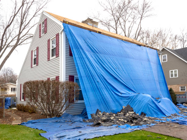 Best Dumpster Rental Services  in Reidland, KY